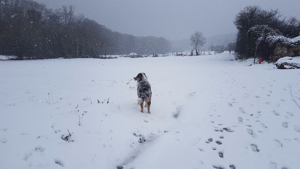 neige 2019