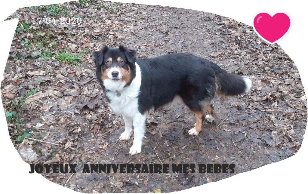 1 an de la portée 2019