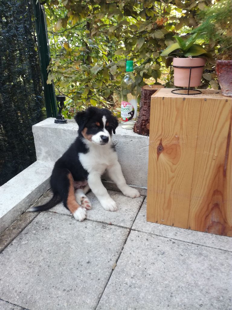 les petits bouts de 2018 sont adoptés.